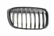Vorderer oberer Gitter BMW X1 (F48) xDrive 20 d 7383364