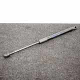 Heckklappe Gasdruckfeder links MERCEDES-BENZ SLK (R172) 250 CDI / d (172.403) A1729800264