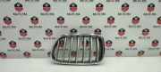 Vorderer oberer Gitter BMW X3 (F25) xDrive 35 i 7237421