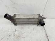 Ladeluftkühler PEUGEOT 307 CC (3B) 2.0 HDi 135 9646694680