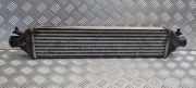Ladeluftkühler FIAT BRAVO II (198_) 1.6 D Multijet 866455500