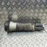Front left pneumo shock absorber MERCEDES-BENZ S (W220) S 500 4-matic (220.084, 220.184) C086092B1 A2203202138