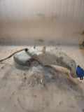 Fensterwaschtank AUDI A8 D2 (4D2, 4D8) 3.3 TDI quattro 4D0955451E