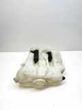 Fensterwaschtank MERCEDES-BENZ SL (R230) 500 (230.471) A2308690020
