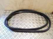 Dichtungsgummi der hinteren Tür (an der Karosserie) CITROËN C4 Grand Picasso II 2.0 BlueHDi 150