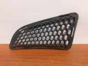 Kühlergrill unten Mercedes-Benz S-Klasse (W221) 12301