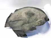 Radhaus links vorne Audi A6 (4G, C7) 4G0821133A