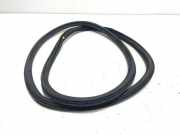 Türgummi links vorne Audi Q3 (8U) 8U08313721