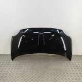 Motorhaube FIAT 500 (312_) 1.0 Mild Hybrid (312.AYD1B) 52009424