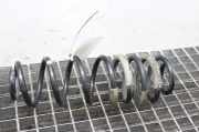 Schraubenfeder hinten links