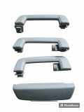 Dachgriffset (innen) FORD FOCUS C-MAX 2.0 TDCi