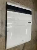 Linke Tür FORD TRANSIT Furgon 2.0 TDCi [RWD]