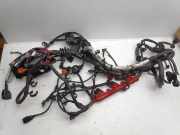 Motor Kabelbaum AUDI A6 (4G2, C7, 4GC) S6 quattro 4G1971072AL