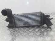 Ladeluftkühler CITROËN C5 I (DC_) 2.0 HDi