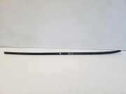 Zierleiste Windschutzscheibe Frontscheibe VW PASSAT B6 (3C2) 2.0 TDI 16V
