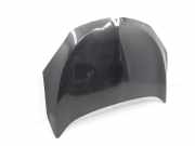 Motorhaube RENAULT MEGANE III Hatchback (BZ0_) 1.4 TCe (KZ0F, KZ1V) 651009018R