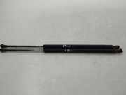 Heckklappendämpfer rechts BMW X5 (E53) 8402405