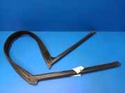 Türgummi rechts vorne Mercedes-Benz S-Klasse (W221) A2217250225