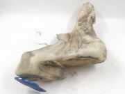 Behälter Scheibenwaschanlage Audi A4 (8D, B5) 8D0955453A