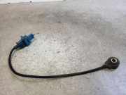 Klopfsensor CITROËN C5 II (RC_) 3.0 V6 (RCXFUF) 0261231121