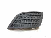 Gitter vorne unten FORD FIESTA V (JH_, JD_) ST150 K3529