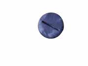 Grill Windlauf BMW X1 (E84) PPT20