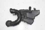Ansaugresonator NISSAN JUKE (F15) 1.6 70390758