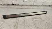 Schwellerinnenverkleidung vorne links MERCEDES-BENZ S Coupe (C217) S 500 (217.382) A2176800135