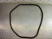 Türdichtung BMW X3 (F25)