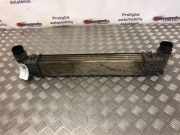 Ladeluftkühler FORD GALAXY III (CK) 2.0 TDCi 132002748
