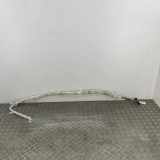 SRS Modul Dach links AUDI A8 D3 (4E2, 4E8) 4.2 TDI quattro 4E0880741