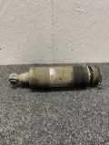 Stoßdämpfer hinten links MERCEDES-BENZ SL (R230) 500 (230.471) A2303200438