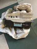 Passenger Safety Bag SRS SKODA OCTAVIA I (1U2) 1.9 TDI 1K0880204K
