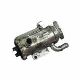 AGR-Kühler RENAULT LAGUNA III (BT0/1) 2.0 dCi (BT01, BT09, BT12, BT1S) 880255X 91909E0028H