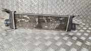 Ladeluftkühler MERCEDES-BENZ A (W168) A 170 CDI (168.008) 376723311
