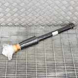Stoßdämpfer links hinten Audi A4 (8W, B9) 8W6513035F