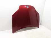 Motorhaube Renault Laguna III (T) 651000021R