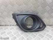 Lüftungsgitter für Stoßfänger Opel Antara (L07) 25953660
