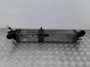 Ladeluftkühler RENAULT LAGUNA III (BT0/1) 3.0 dCi (BT03, BT13)