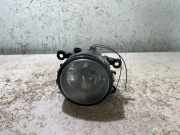 Nebelscheinwerfer vorne rechts RENAULT MEGANE II Estate (KM0/1_) 2.0 dCi 89210094