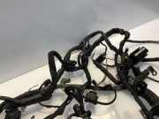 Motor Kabelbaum MERCEDES-BENZ E (W211) E 320 CDI (211.022) A6421500620