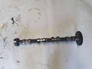 Auslassnockenwelle TOYOTA COROLLA Verso (ZER_, ZZE12_, R1_) 2.2 D-4D (AUR10_)