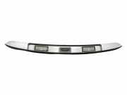 Kennzeichenbeleuchtung RENAULT CLIO II (BB0/1/2_, CB0/1/2_) 1.5 dCi 8200883011