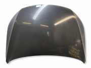 Motorhaube VW CC (358) 2.0 TDI