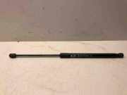 Heckklappendämpfer rechts Audi A4 Avant (8K, B8)