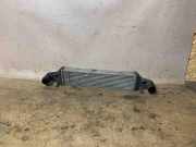 Ladeluftkühler Mercedes-Benz E-Klasse (W212) A2045000200