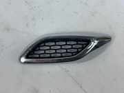 Gitter MASERATI LEVANTE SUV (M161) 3.0 4WD 670040331
