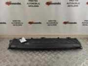 Anzeigetafel Rahmen VW TIGUAN (5N_) 2.0 TDI 5N0121341