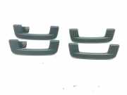 Dachgriffset (innen) VW ID.3 (E11) 1st