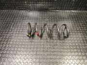 Feder links hinten Nissan Murano II (Z51)